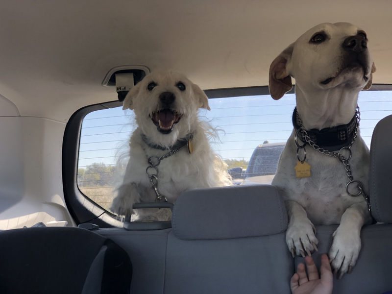 Excited to go for a hike.